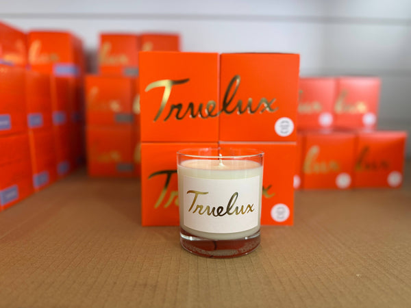 Holiday Spice Soy Lotion Candle (Pine Spice + Clove)