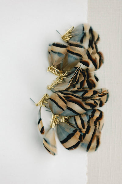 Striped Fall Feather Earrings