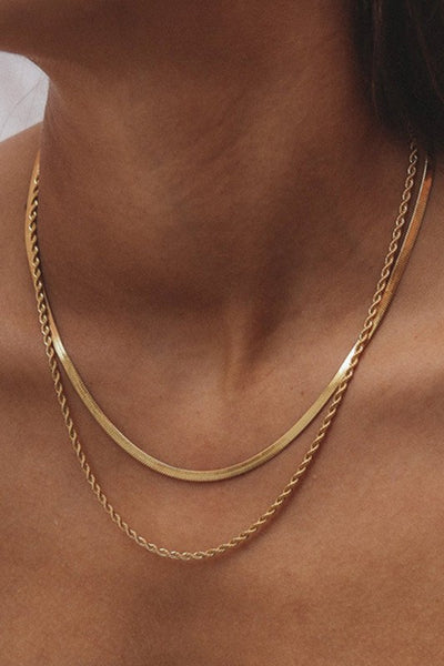 Dainty Two Layered Necklace
