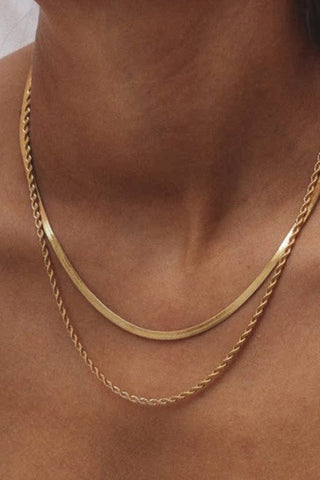 Dainty Two Layered Necklace