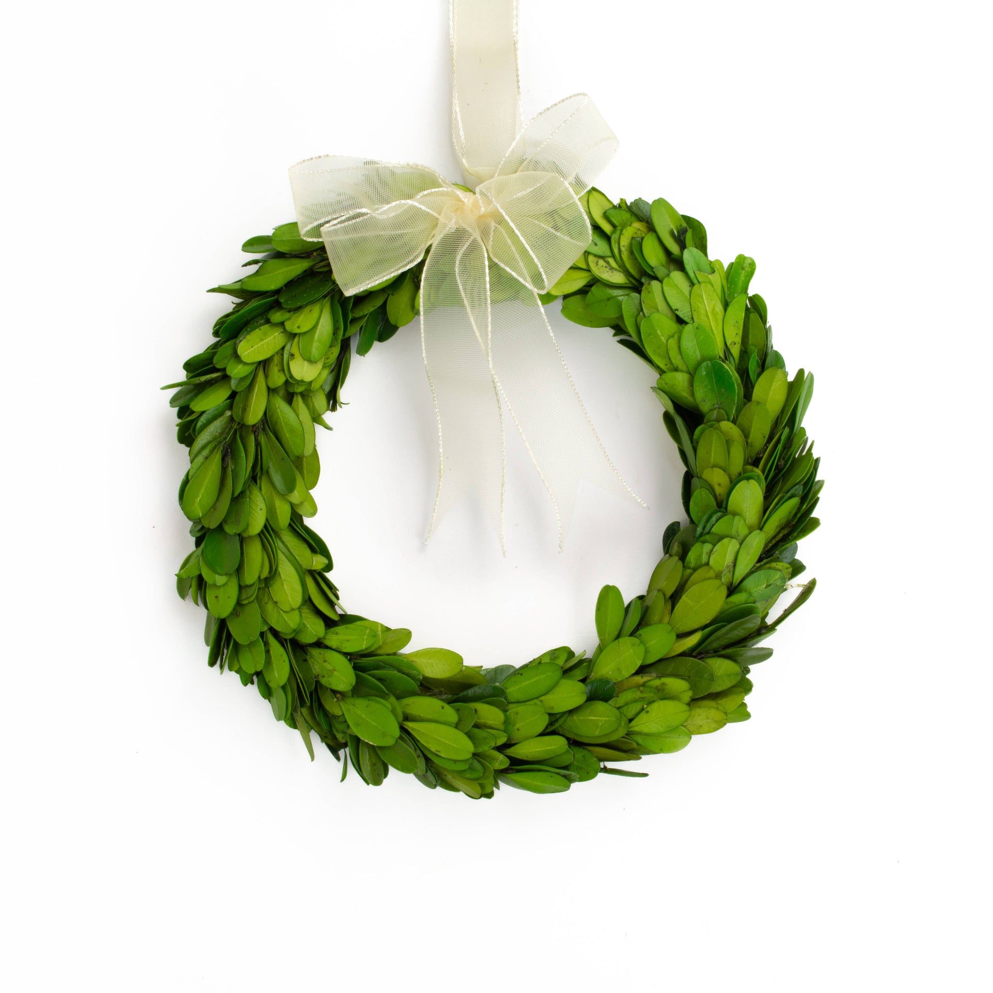 Mills Floral Company - Preserved Boxwood Wreath - Round with Ribbon - 8 Inch