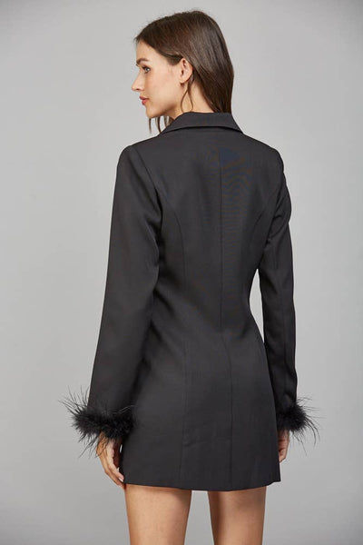 Feathered Ambition Dress