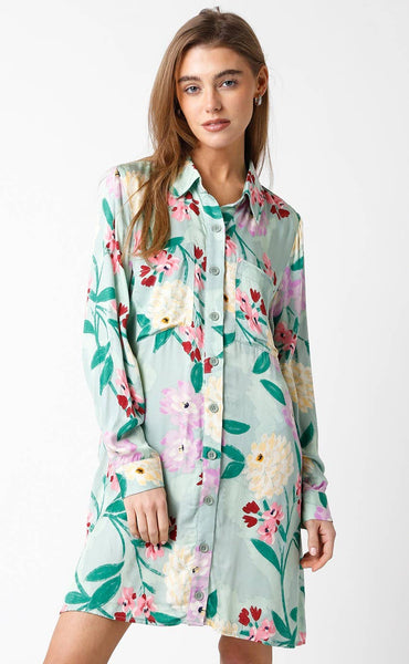 Evelyn Shirt Dress