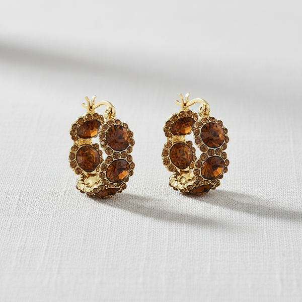 Crystal Circle Hoop Earrings