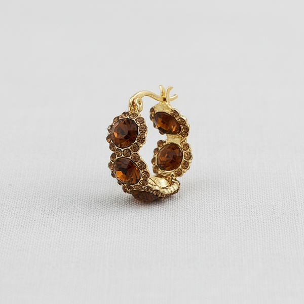 Crystal Circle Hoop Earrings