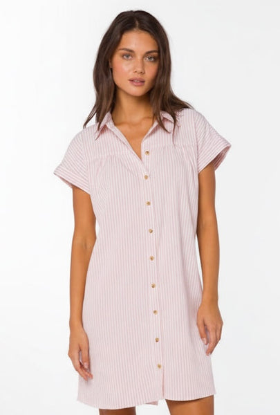 Erilee Striped Dress