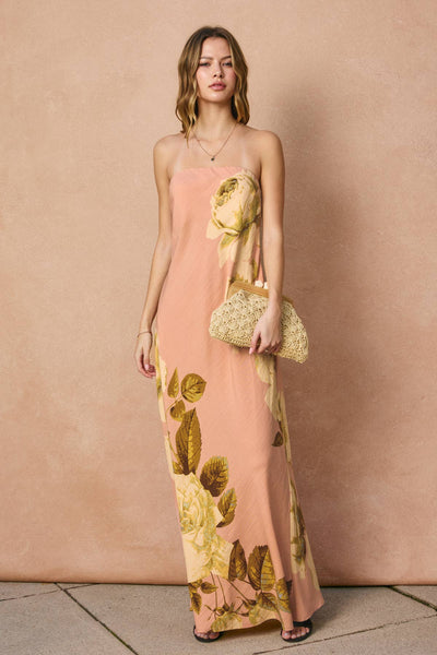 Rose Garden Dress