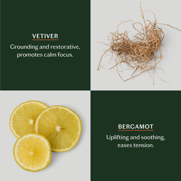 Kate McLeod - Grounding Stone | Deep Moisturizing Lotion Bar: Starter Kit
