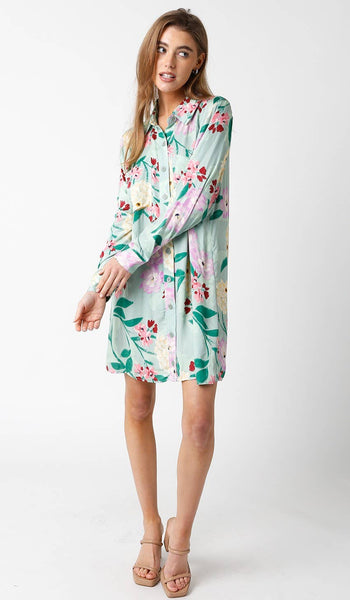 Evelyn Shirt Dress