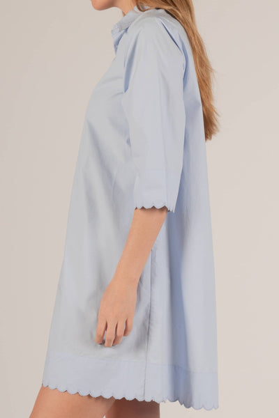 The Sweet Scallop Mini