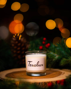 Holiday Spice Soy Lotion Candle (Pine Spice + Clove)